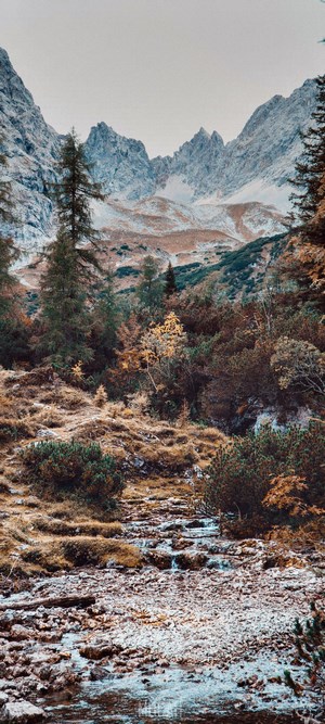 Mountainous landscape with a stream and trees