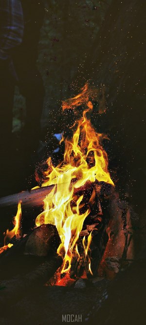 Campfire with sparks and logs