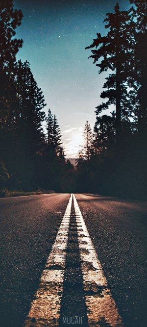 Road through Yosemite Valley at night