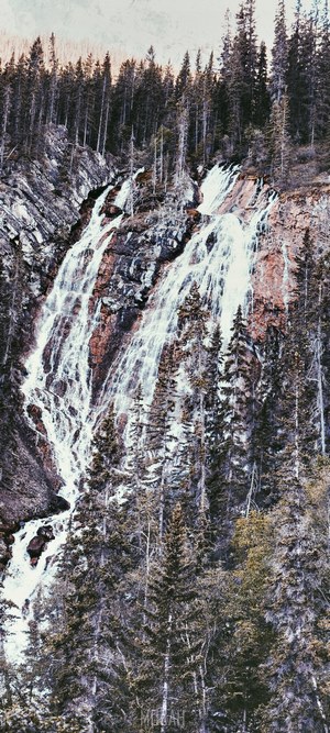 Waterfall cascading down a rocky cliff with pine trees
