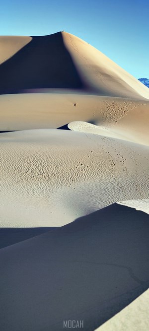 Sand dunes under a clear blue sky