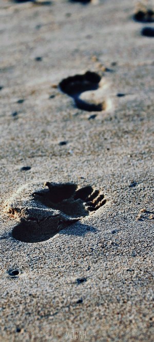 Footprints on a sandy beach