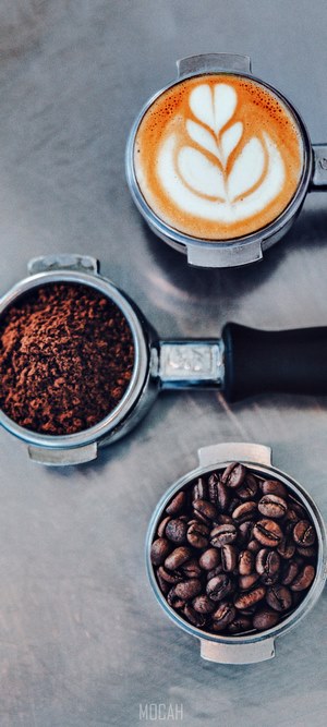 Espresso portafilters with coffee beans, grounds, and latte art