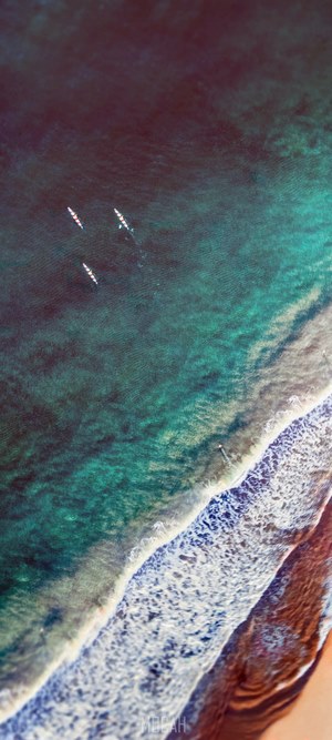 Kayakers paddle out in the ocean near a beach