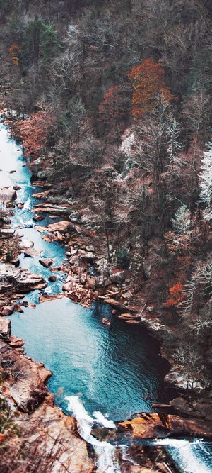 Drone shot of a stream in an autumn forest