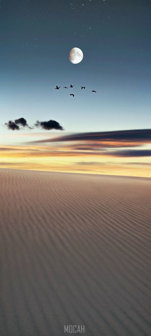 Moonlit desert dunes with birds flying at sunset