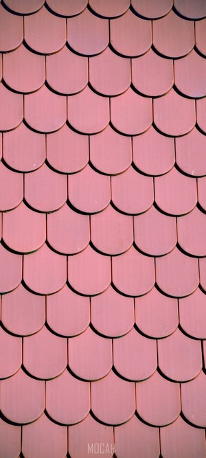 Pink scallop roof tiles