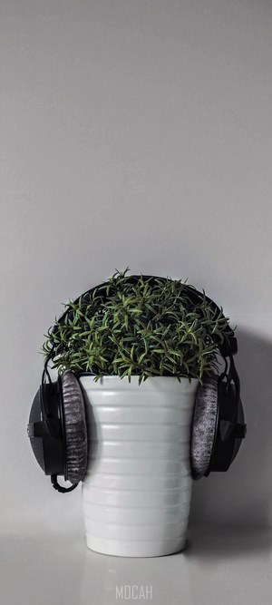 Headphones on a potted plant
