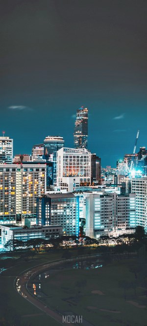 Night cityscape with illuminated skyscrapers and a park