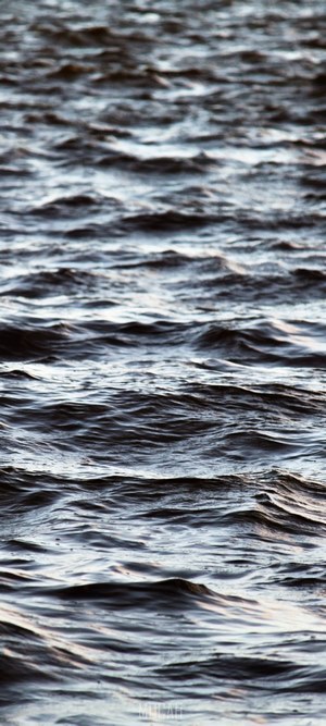 Dark water waves