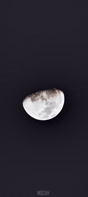 Half moon in dark sky