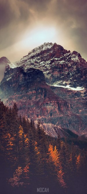 Mountain peak with snow and pine forest