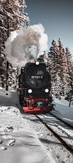 Steam Locomotive 99 7241-5 in a Snowy Forest