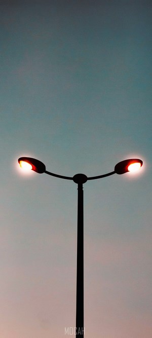 Street light with two lamps against a twilight sky