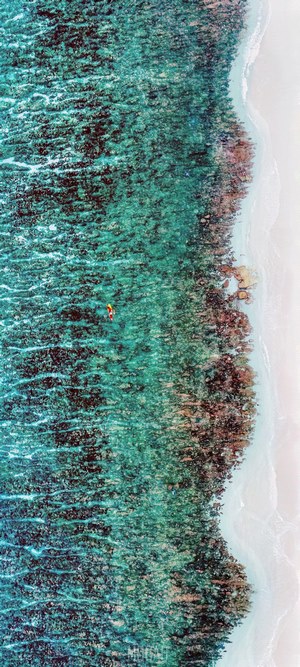Person on a surfboard in turquoise water near a coral reef