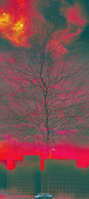 Bare tree against a red and yellow nebula sky over city buildings
