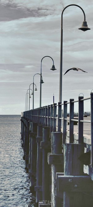 A bird flies over a pier with lampposts