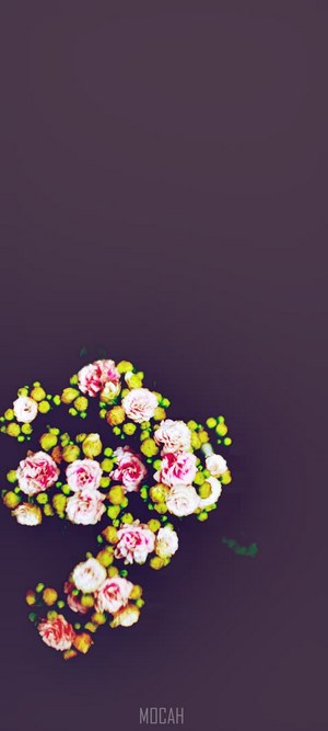 Minimalist floral arrangement on dark background