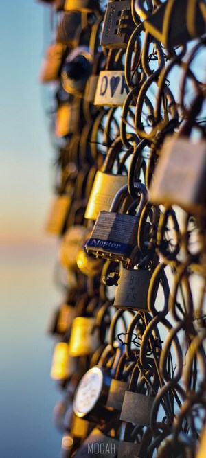 Love locks on a fence with water background