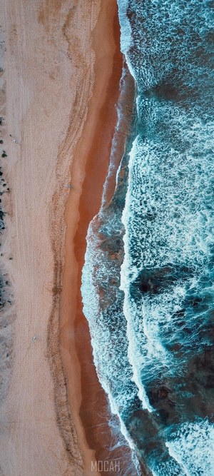 Aerial view of Mona Vale Beach with ocean waves