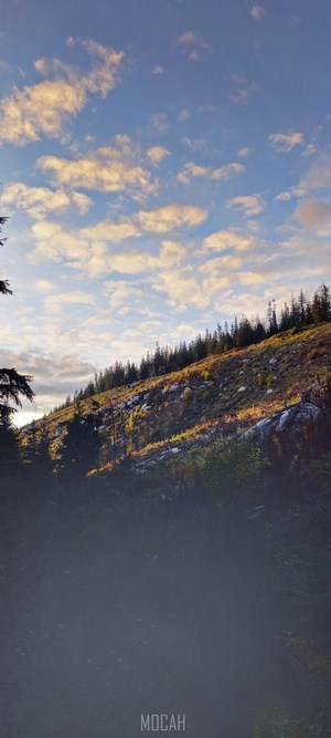 Mountain slope with trees and clouds