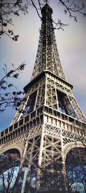 Eiffel Tower seen through tree branches