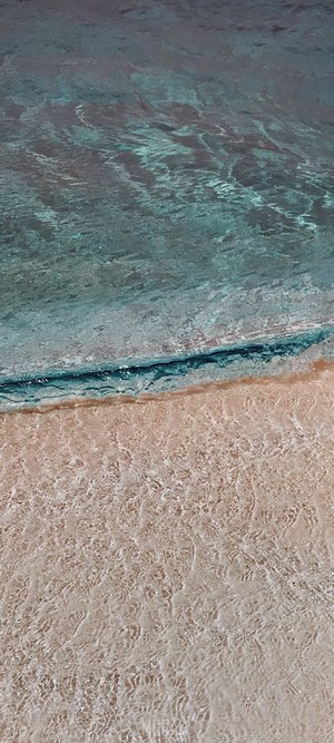 Ocean wave rolling onto a sandy beach