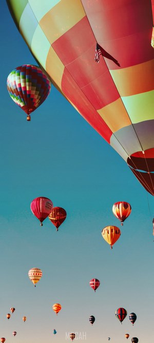 Hot air balloons at a festival
