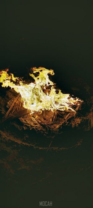 Fire burning on wood in dark setting
