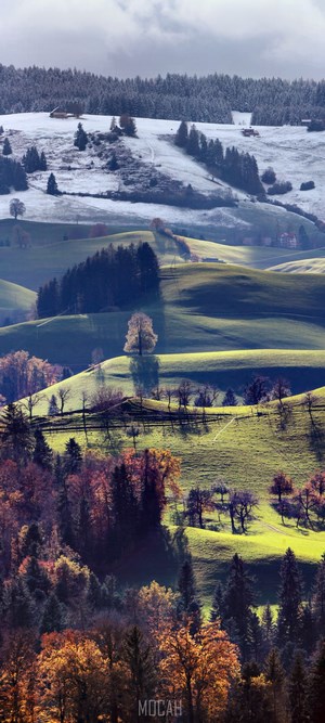 Autumn and Winter Landscape with Rolling Hills and Trees