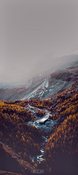 Mountain valley with forest and building