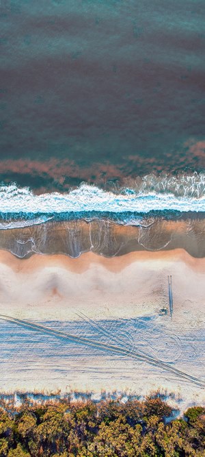 Aerial view of a beach with waves and trees