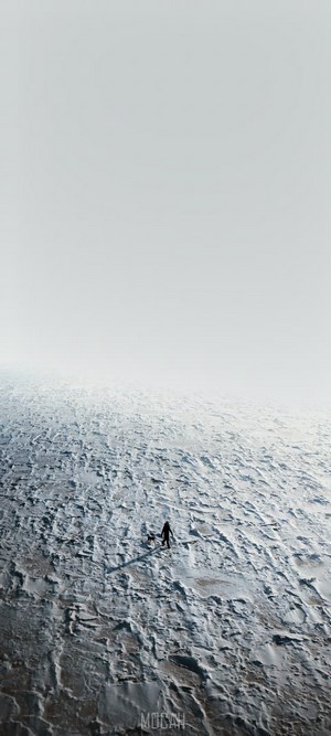 Person and dog walking on a vast icy landscape