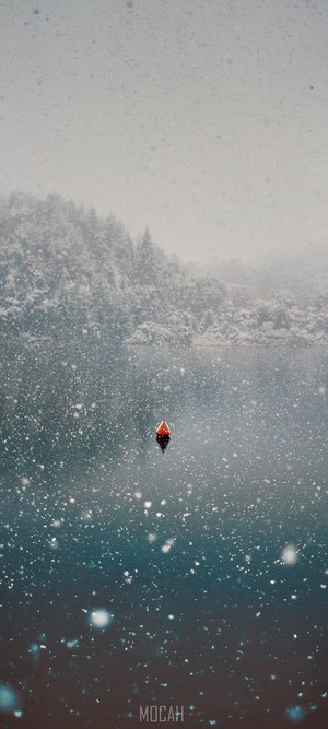 Buoy on a Patagonian lake during snowfall