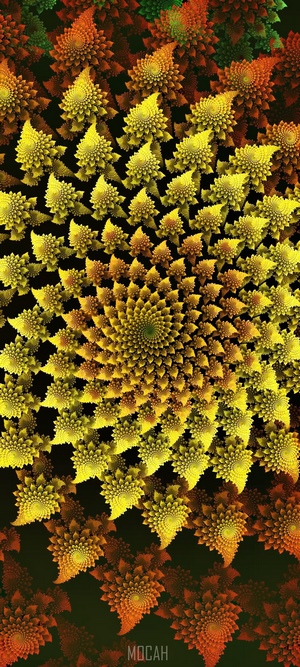 Fractal pattern of yellow and orange flowers
