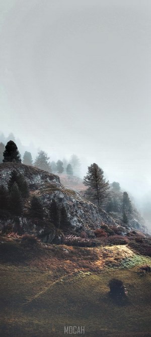 Misty mountains with trees and rocks
