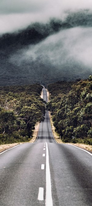 Moody Road Through Australian Forest