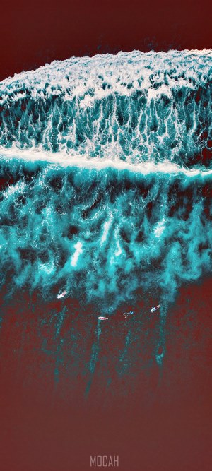 Surfers in the ocean with a large wave