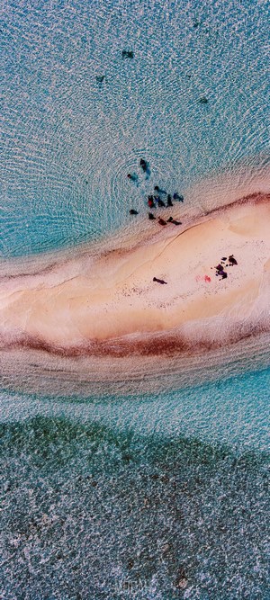 People on a sandbank in clear blue water