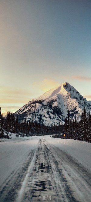 Snowy Mountain Road with Pine Trees