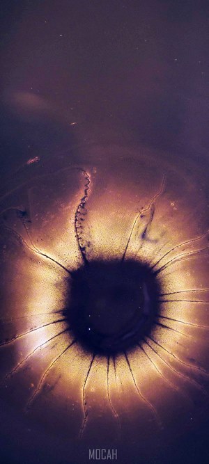Abstract nucleus of an atom