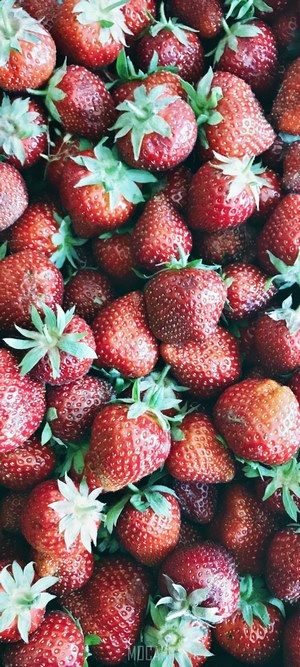 Close-up of fresh strawberries