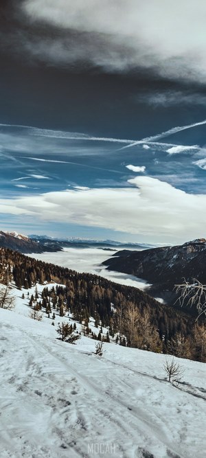 Snowy forest in the Dolomites, Xiaomi Poco X2 screensaver