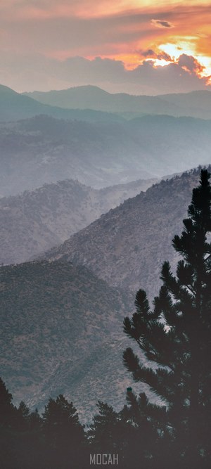 Mountain range at sunset with pine trees