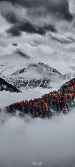 Misty Mountain with Autumn Forest and Snow