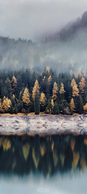 Misty autumn forest reflected in a lake