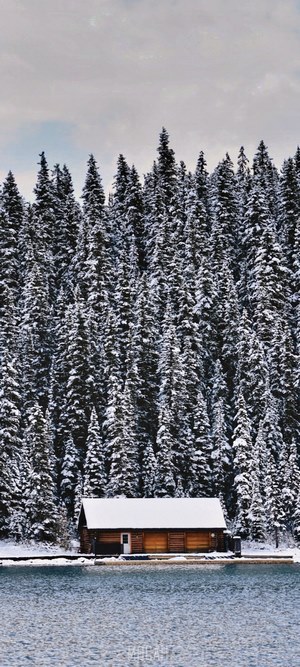 Snow-covered cabin by a lake and forest