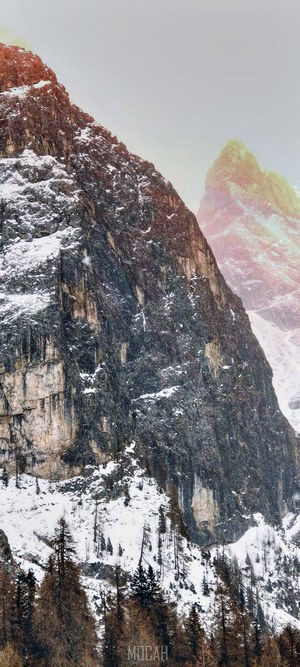 Snowy mountain cliff with trees and birds