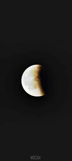 Partial Lunar Eclipse