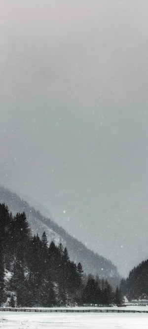 Snowfall over a forested mountain valley